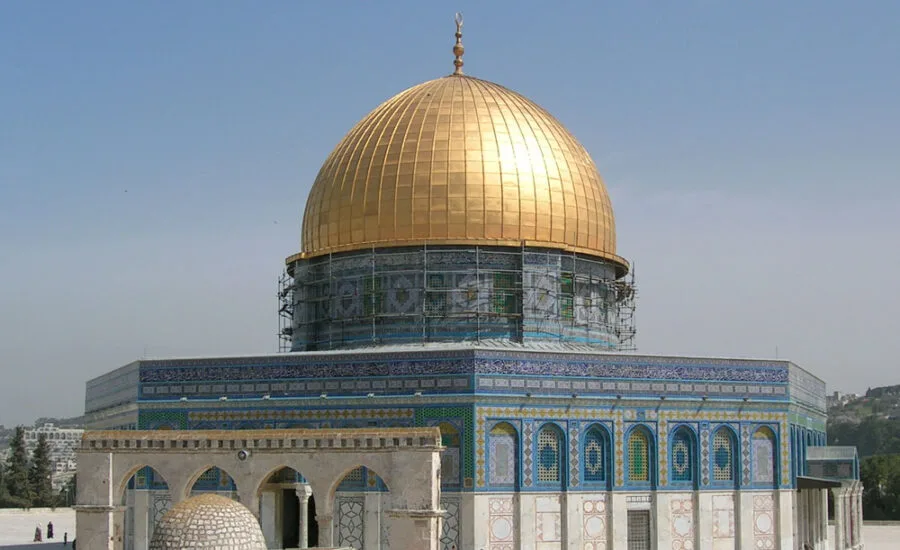 صورة الجواب 5 — عواصم