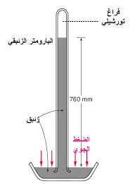 صورة الجواب 16 — علوم عامة