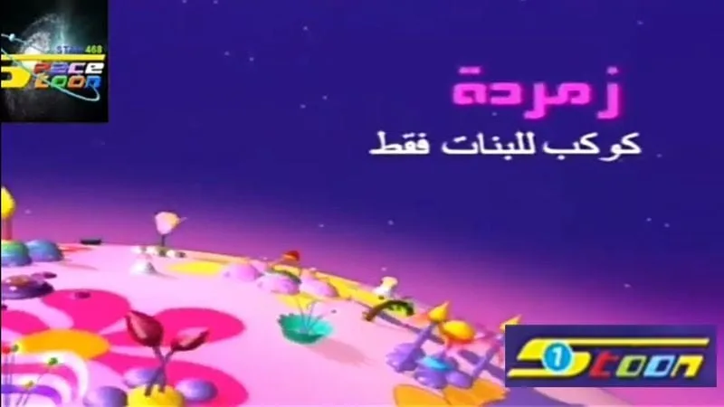 صورة الجواب 6 — سبيستون