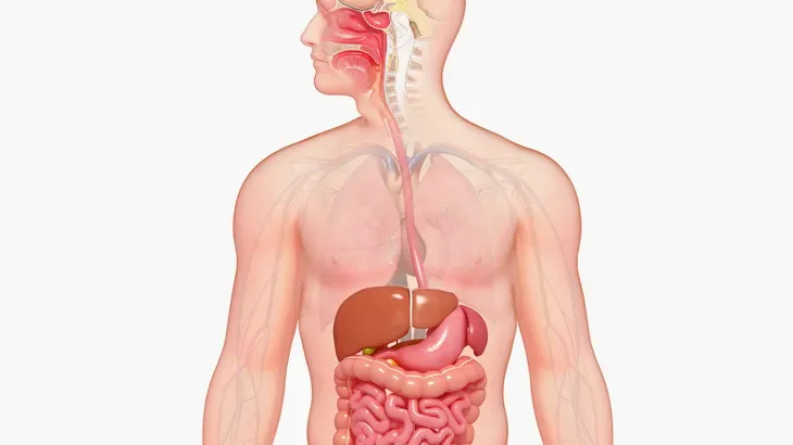 صورة السؤال 1 — علوم عامة