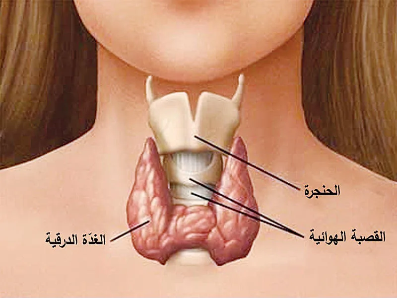 صورة الجواب 1 — علوم عامة