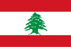 صورة السؤال 8 — عواصم